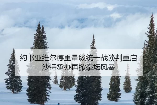 约书亚维尔德重量级统一战谈判重启 沙特承办再掀拳坛风暴